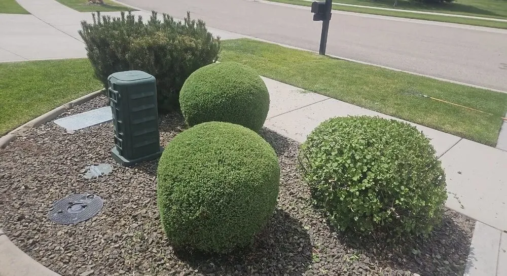 Local lawn care service in Boise, ID - Green Morning Landscaping