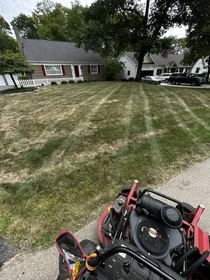 Green Mosaic Landscape Logo