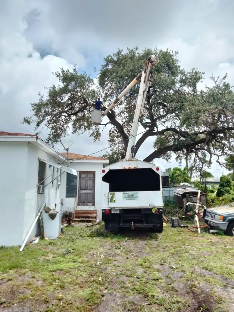 Local landscape installation in Miami, FL by Green Motion Groundskeepers