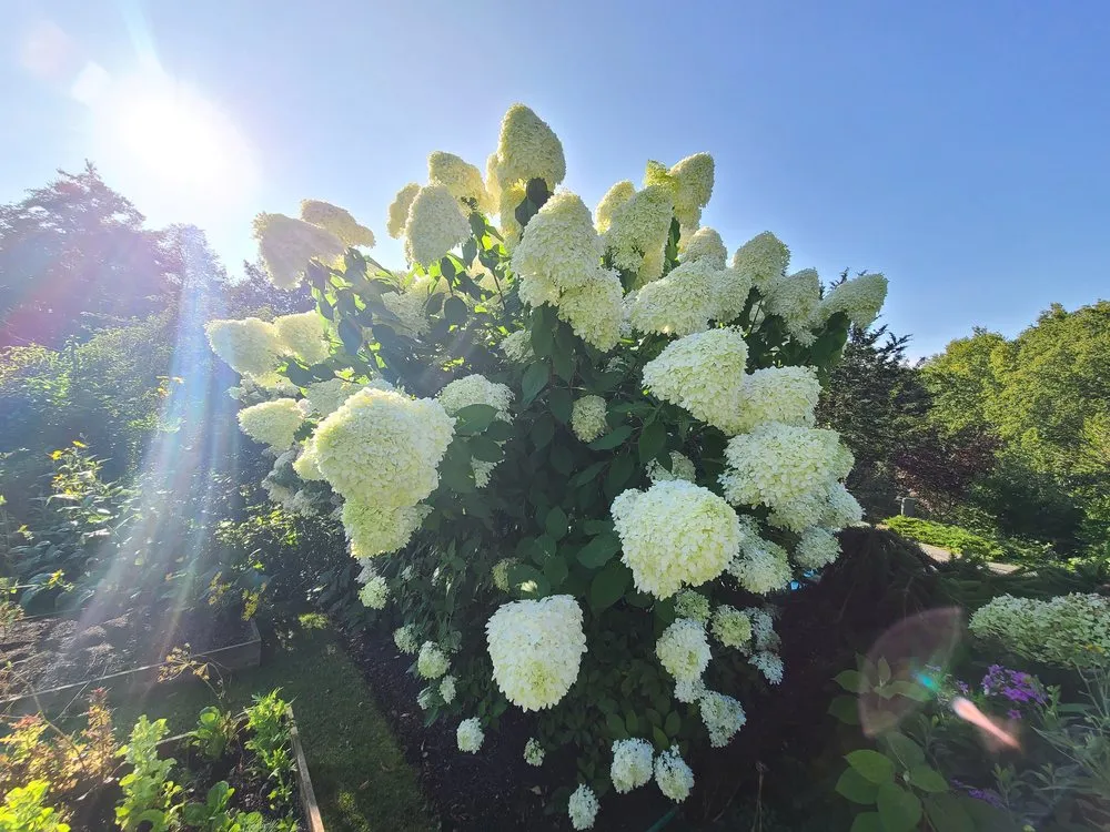 Custom landscape installation for outdoor upgrades across Brattleboro, VT - Green Mountain Gardening