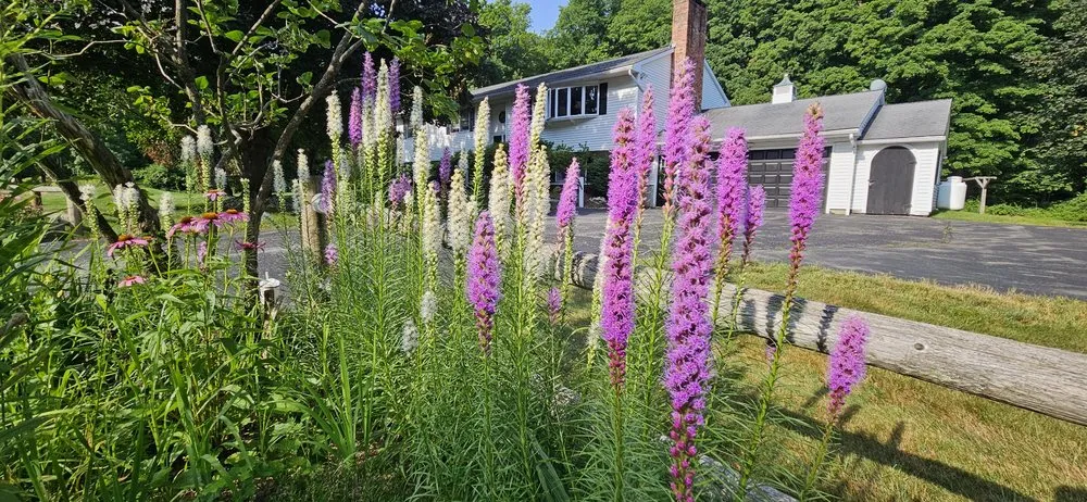 Affordable landscape installation in Brattleboro, VT by Green Mountain Gardening