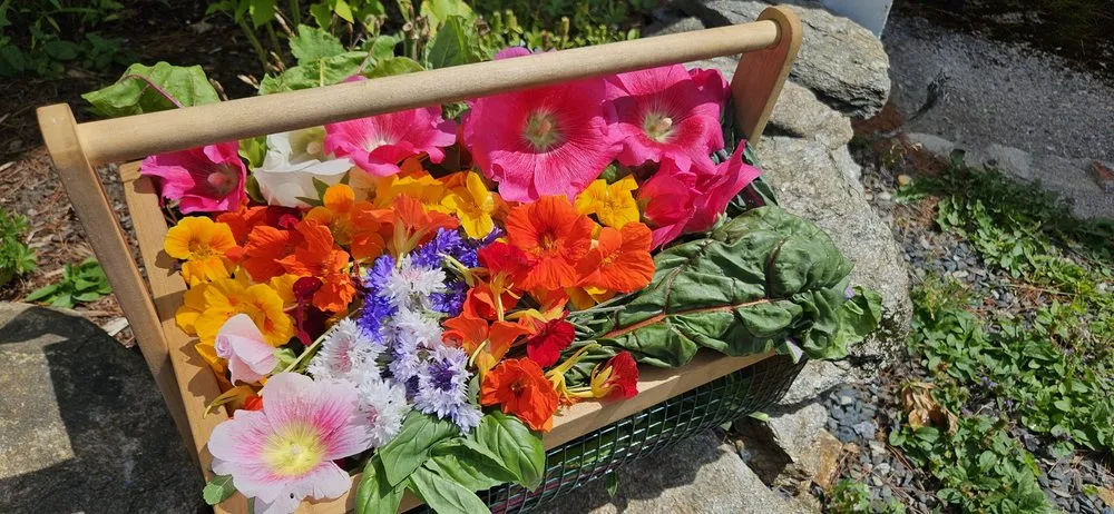 Trusted landscape design experts serving Brattleboro, VT - Green Mountain Gardening