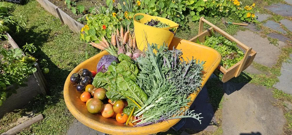 Top-rated outdoor landscaping experts serving Brattleboro, VT - Green Mountain Gardening