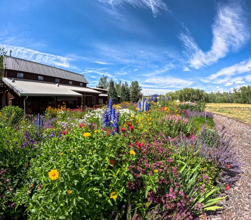 Professional outdoor landscaping in Driggs, ID by Green Mountain Gardens