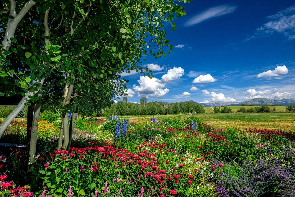 Custom yard cleanup service for outdoor upgrades across Driggs, ID - Green Mountain Gardens