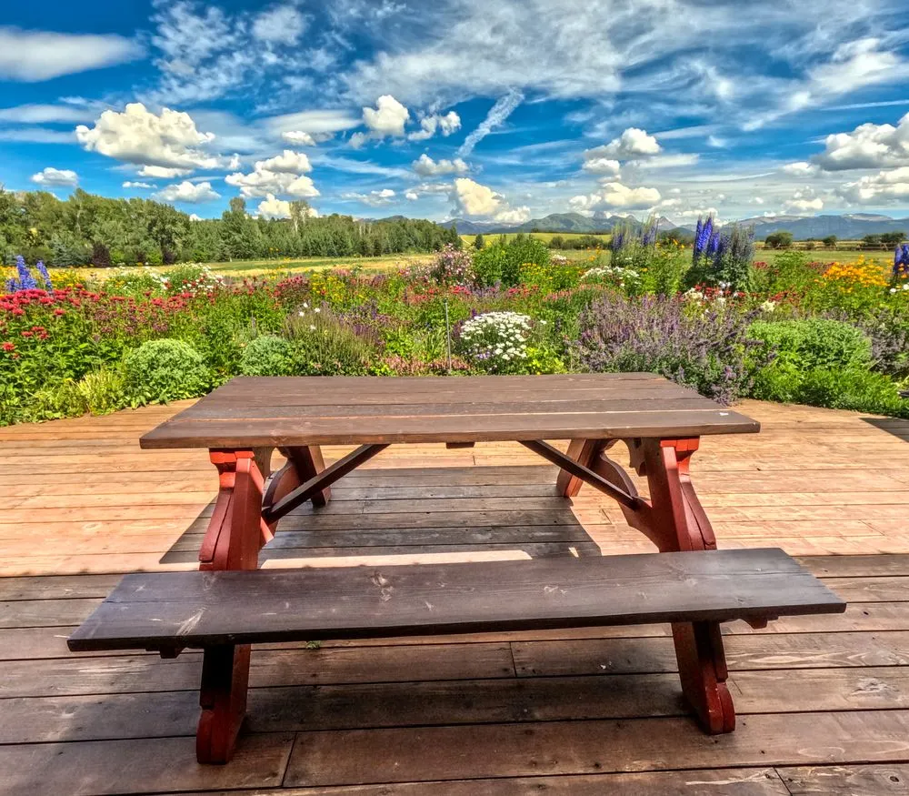 Trusted yard cleanup service in Driggs, ID by Green Mountain Gardens