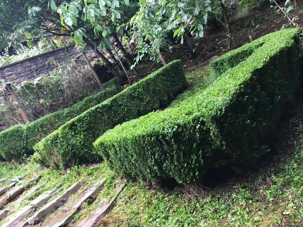 Local landscape design for residential properties in Portland, OR by Green Mountain Landscape