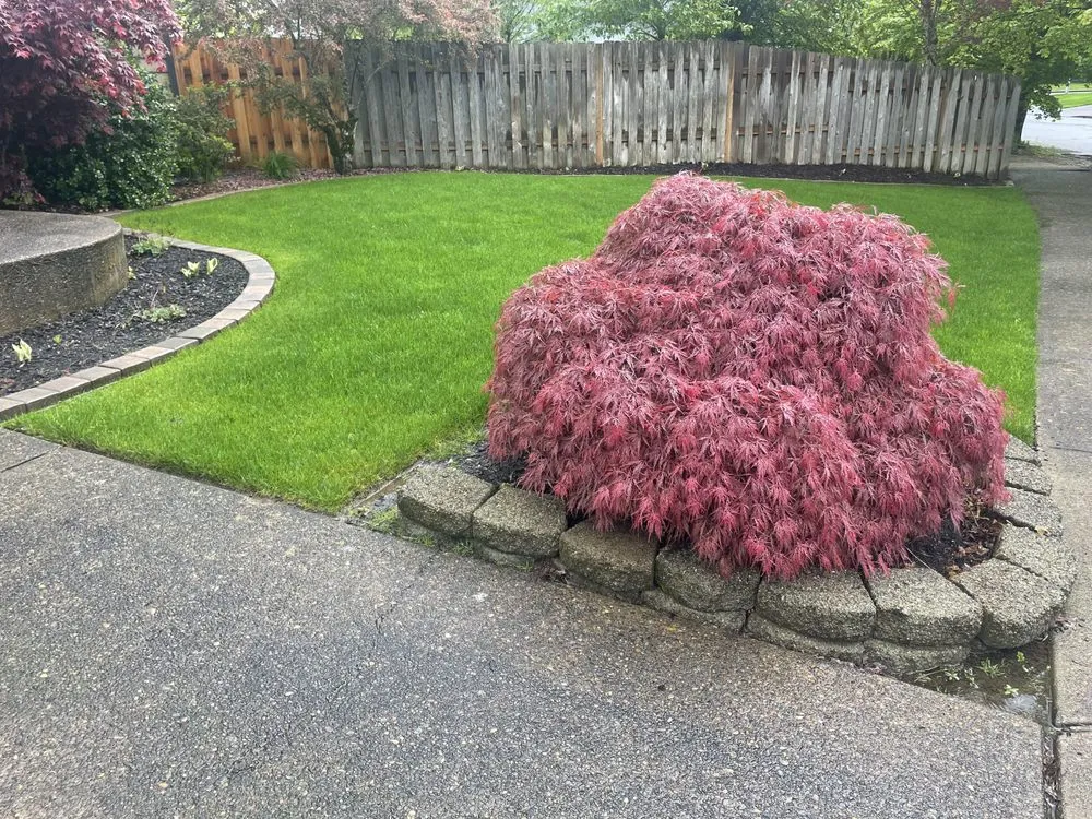 Expert lawn care service experts serving Portland, OR - Green Mountain Landscape