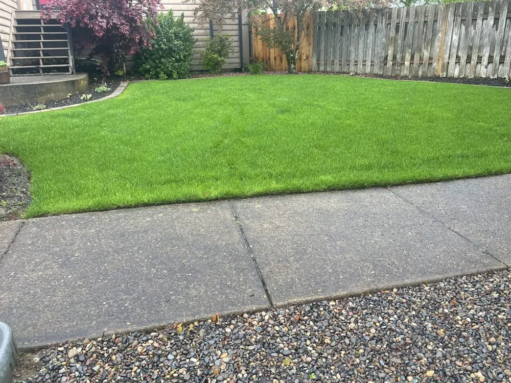 Local lawn care service in Portland, OR - Green Mountain Landscape