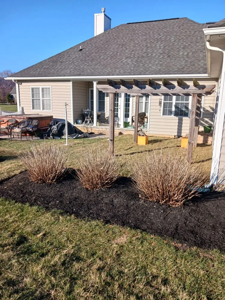 Expert yard cleanup service for outdoor upgrades in Luray, VA by Green Mountain Landscaping and Trail Construction