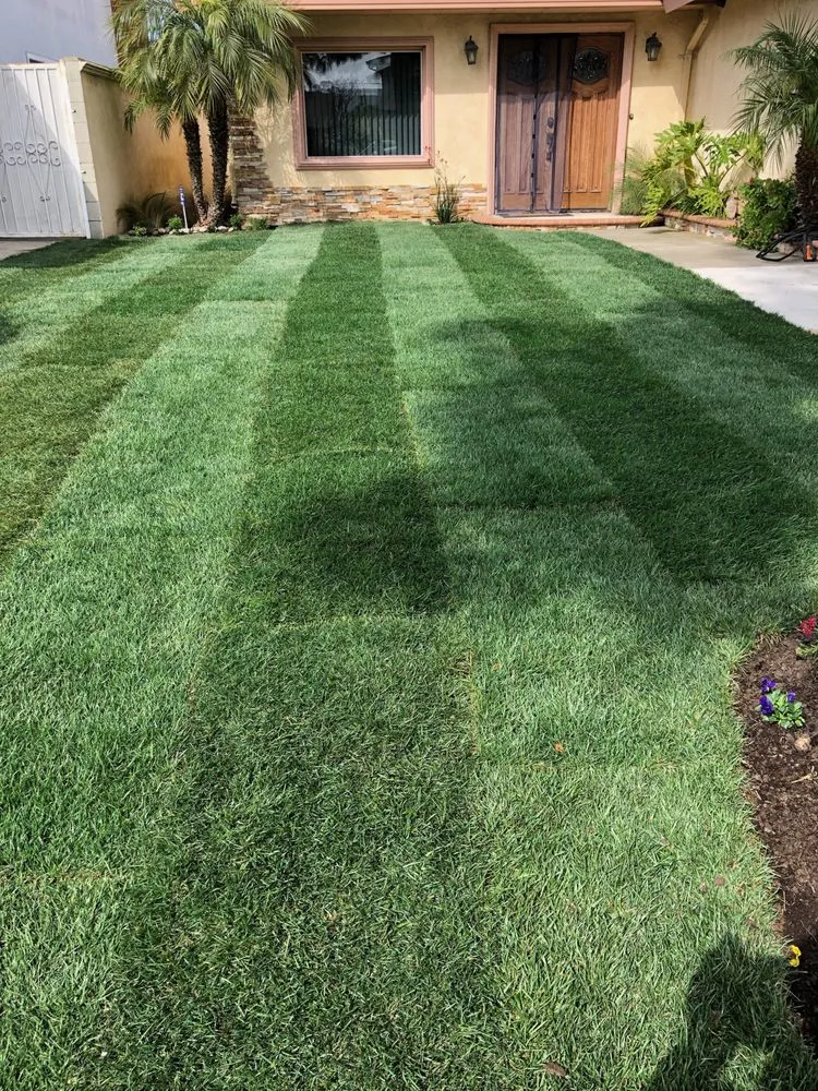 Professional lawn mowing service in Long Beach, CA by Green Mountain Landscaping