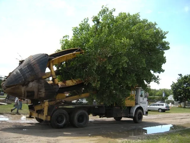 Trusted garden landscaping for residential properties across Morristown, VT - Green Mountain Landscaping