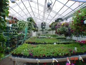 Reliable landscape design for year-round maintenance in Morristown, VT by Green Mountain Landscaping