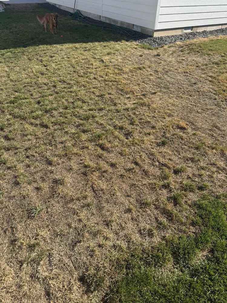 Custom residential landscaping for homes across Nampa, ID - Green Mountain Landscaping