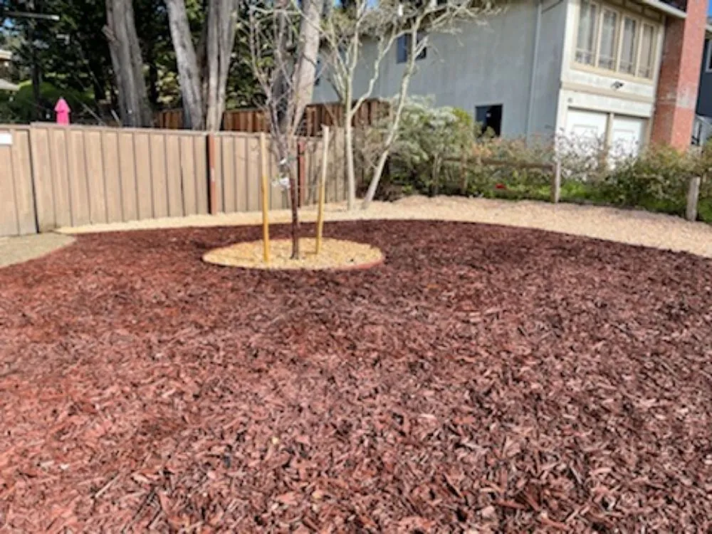 Top-rated lawn care service in San Bruno, CA by Green Mountain Landscaping