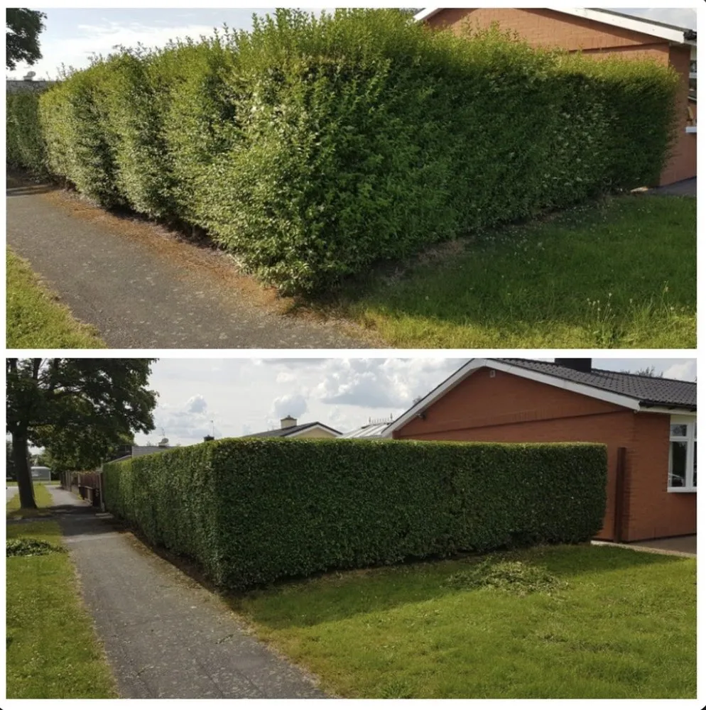 Custom outdoor landscaping in Great Falls, MT by Green Mountain Lawn Care