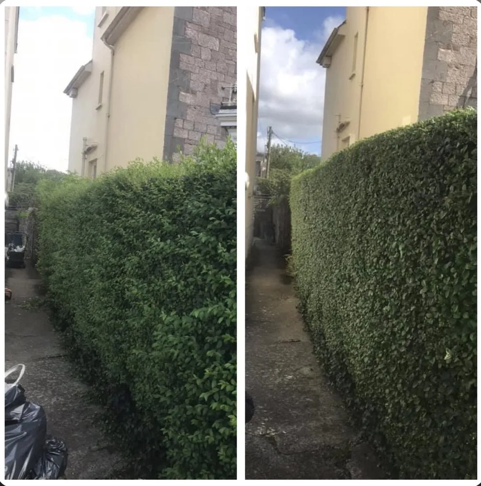 Local yard cleanup service in Great Falls, MT - Green Mountain Lawn Care