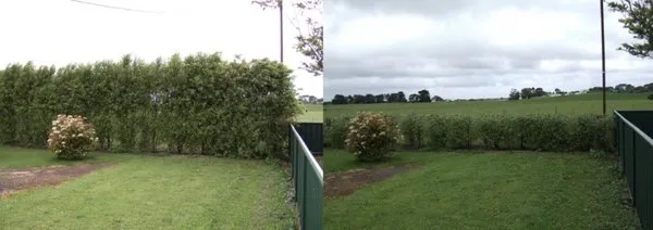 Green Mountain Lawn Care Logo