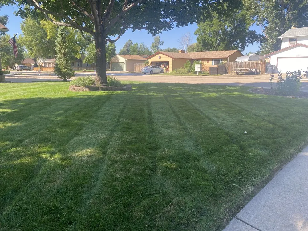 Top-rated residential landscaping with custom design in Windsor, CO by Green Mountain Lawn Services