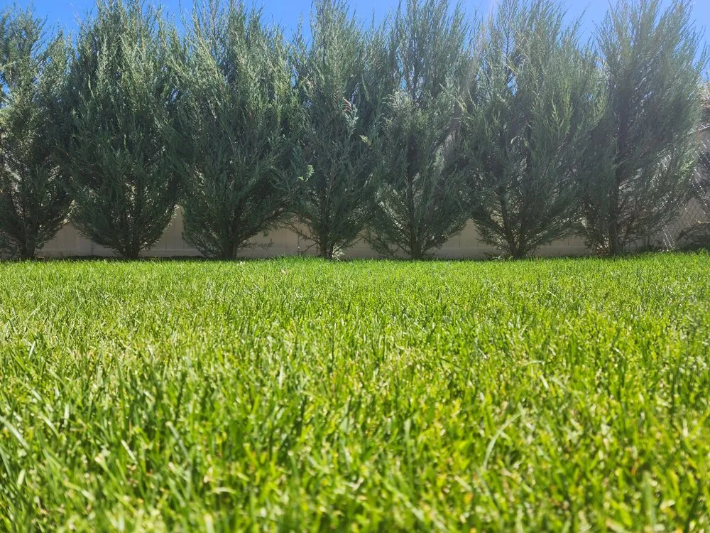 Trusted landscaping services in Whitefish, MT - Green Mountain Property Services