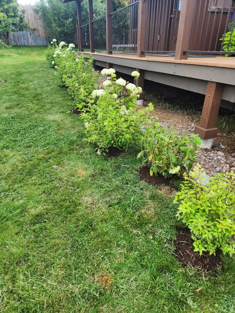 Reliable landscape design for residential properties across Whitefish, MT - Green Mountain Property Services