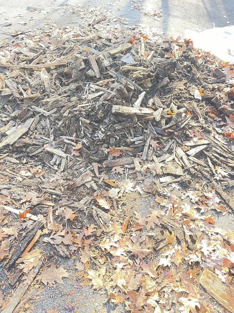 Reliable yard maintenance experts serving Ringwood, NJ - Green Mountain Tree Experts Inc Shop