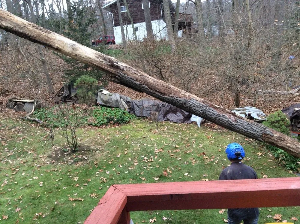 Top-rated landscaping services in Ringwood, NJ - Green Mountain Tree Experts Inc Shop