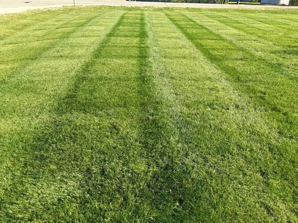 Affordable lawn care service for homes across Madison, WI - Green Mowers Lawn Care