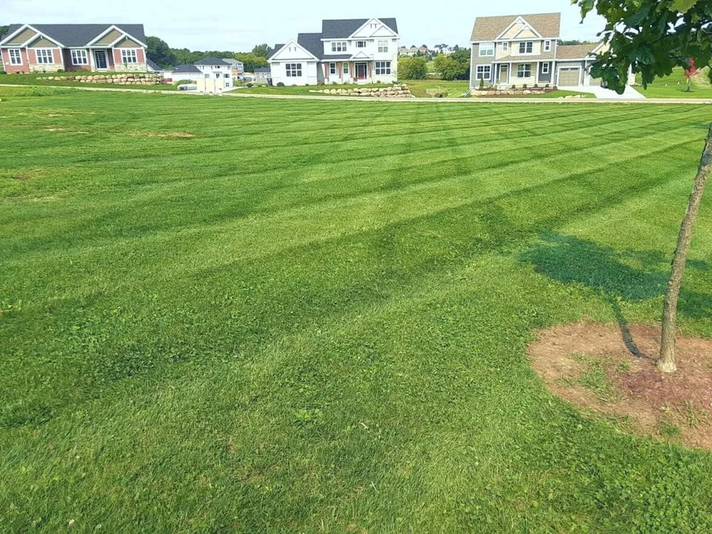 Reliable lawn care service in Madison, WI - Green Mowers Lawn Care