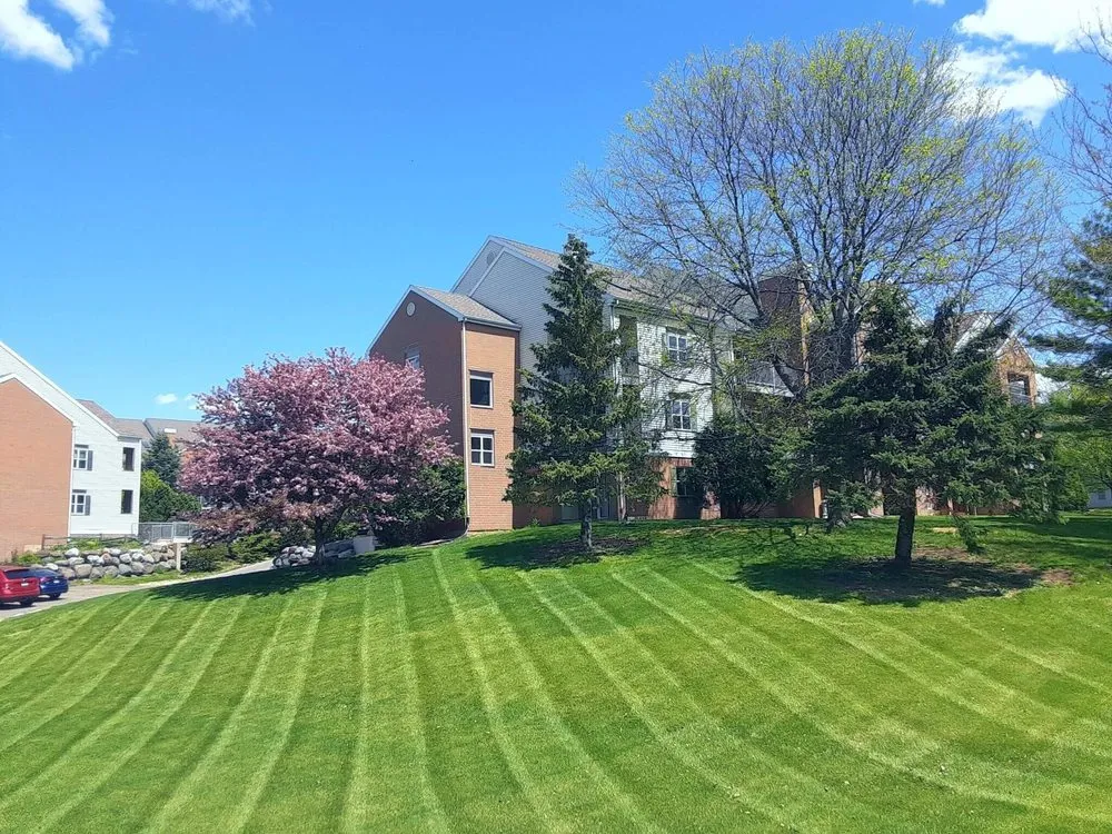 Expert yard cleanup service in Madison, WI by Green Mowers Lawn Care