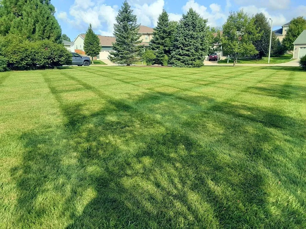 Custom landscaping services in Madison, WI - Green Mowers Lawn Care