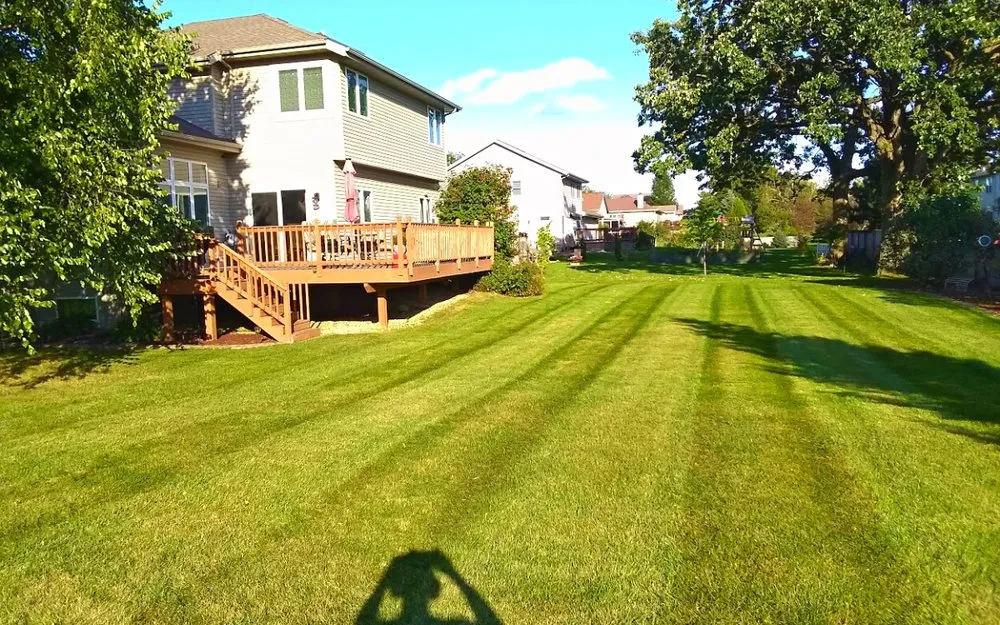 Expert yard cleanup service for year-round maintenance in Madison, WI by Green Mowers Lawn Care