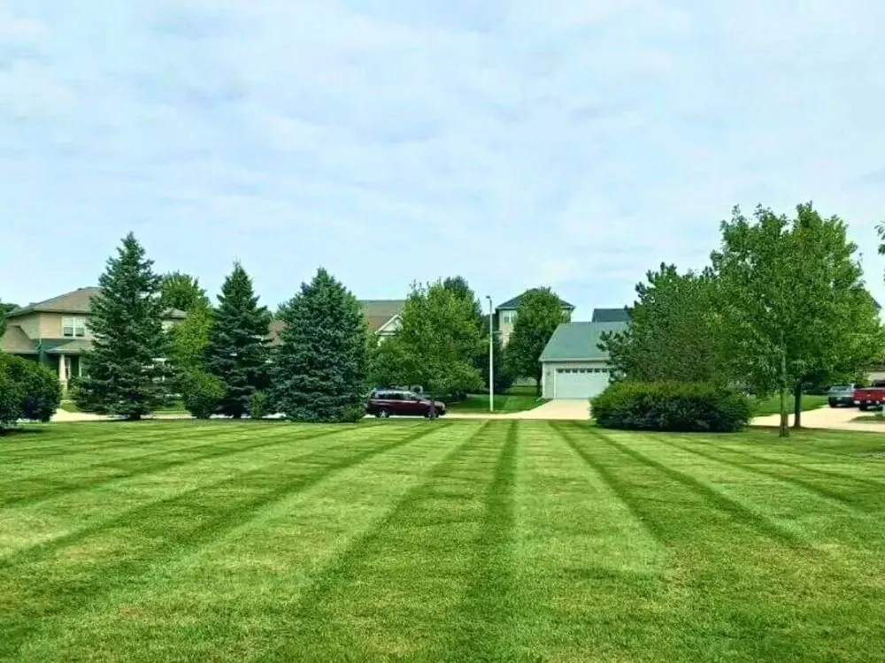 Top-rated yard maintenance for year-round maintenance across Madison, WI - Green Mowers Lawn Care