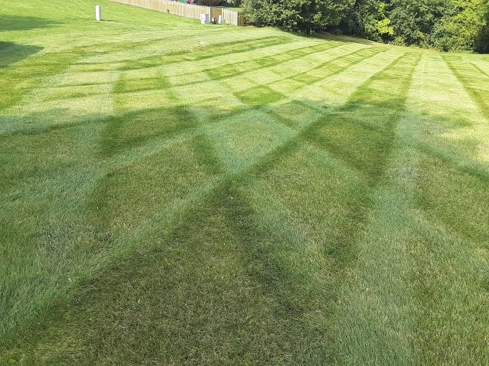 Affordable yard maintenance in Madison, WI - Green Mowers Lawn Care
