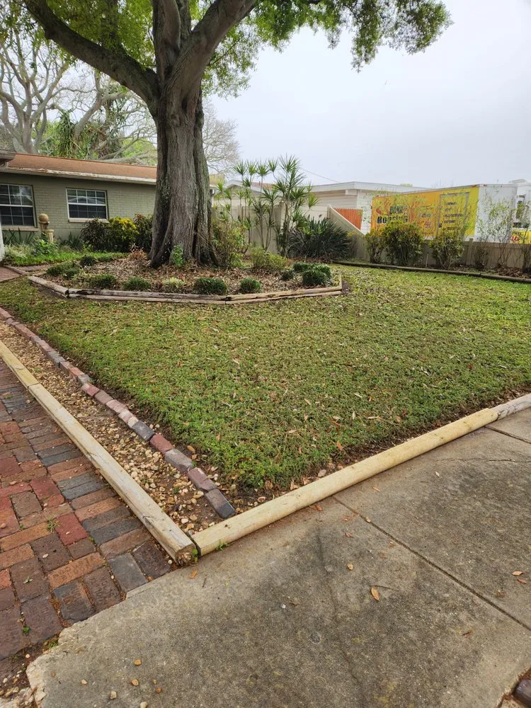 Local landscape design experts serving Tampa Bay, FL - Green Munsters