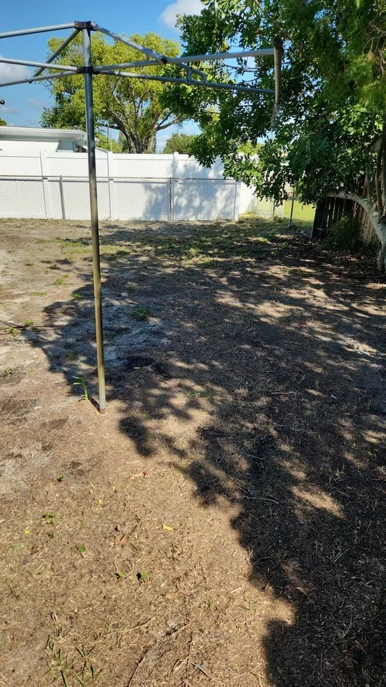 Affordable lawn mowing service in Tampa Bay, FL - Green Munsters