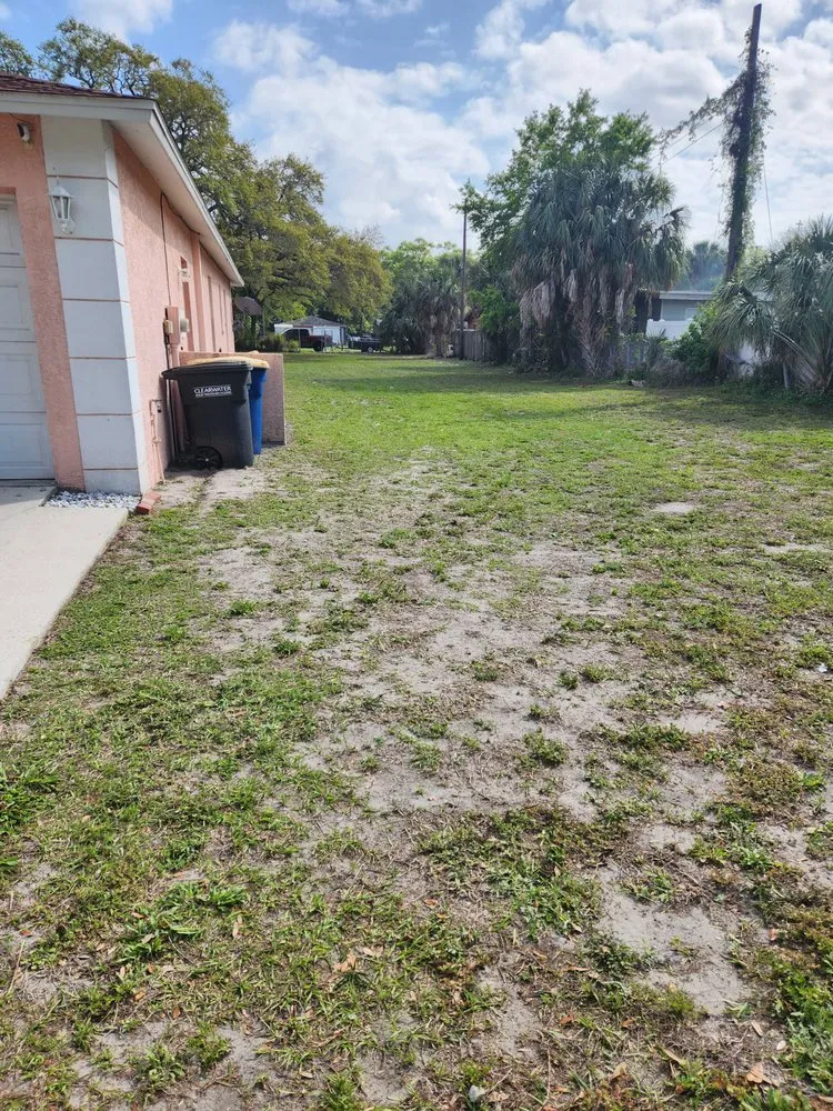 Professional landscaping services experts serving Tampa Bay, FL - Green Munsters