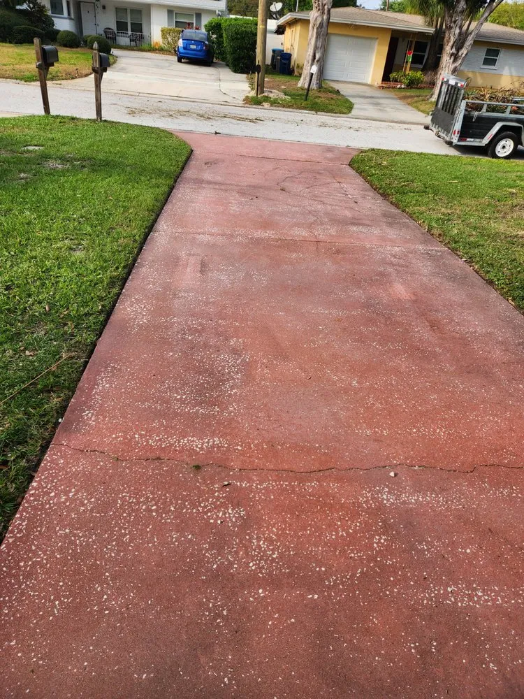 Reliable lawn mowing service in Tampa Bay, FL by Green Munsters