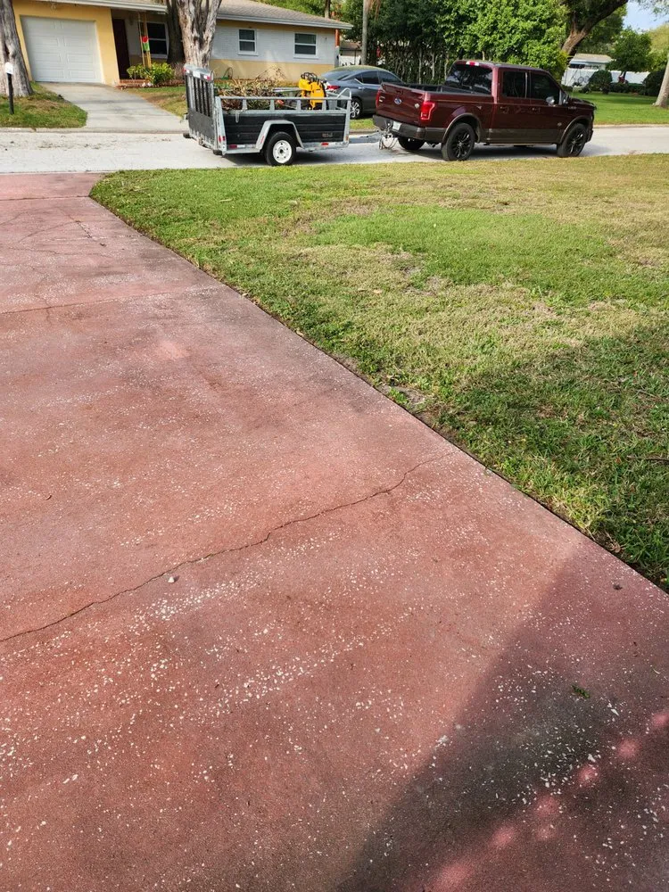 Local residential landscaping for residential properties in Tampa Bay, FL by Green Munsters