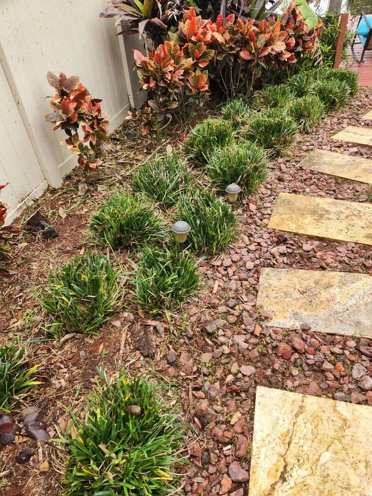 Reliable landscape installation in Tampa Bay, FL - Green Munsters