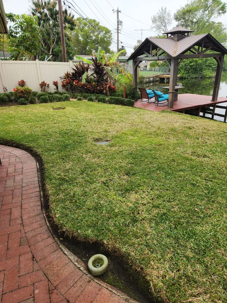 Professional garden landscaping in Tampa Bay, FL - Green Munsters
