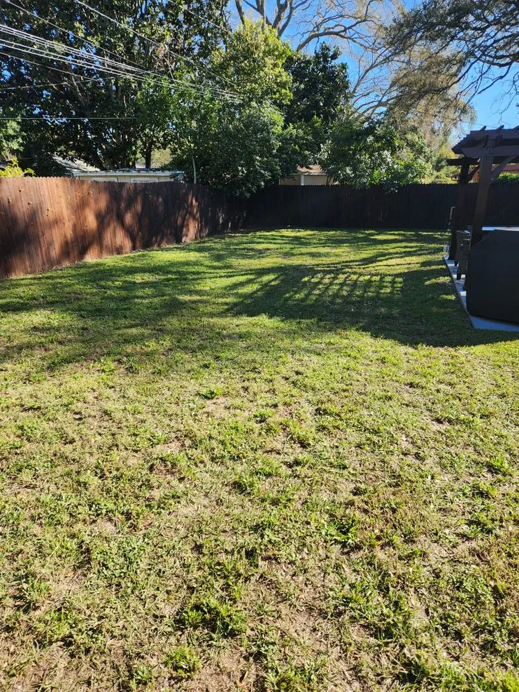 Trusted residential landscaping in Tampa Bay, FL - Green Munsters