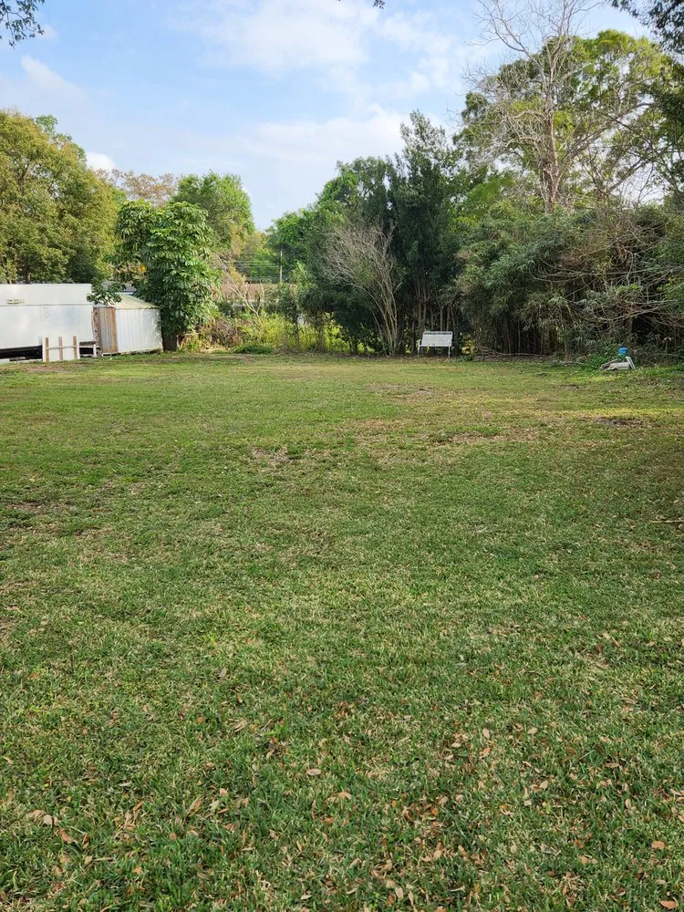 Trusted landscape design for year-round maintenance across Tampa Bay, FL - Green Munsters