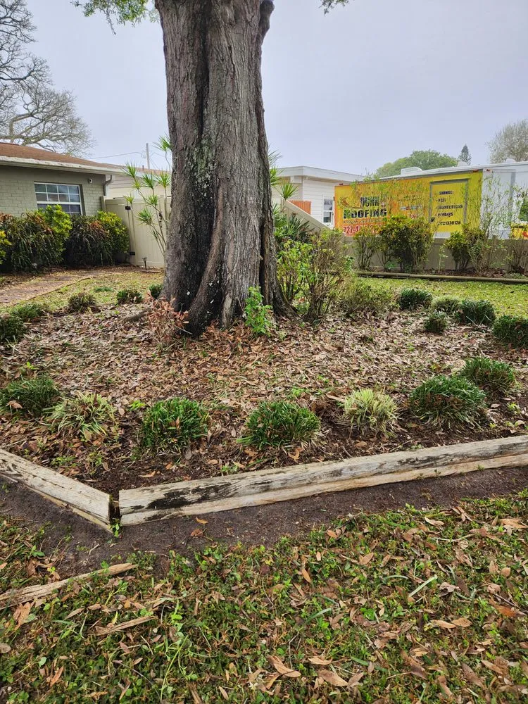 Trusted landscaping services for homes across Tampa Bay, FL - Green Munsters