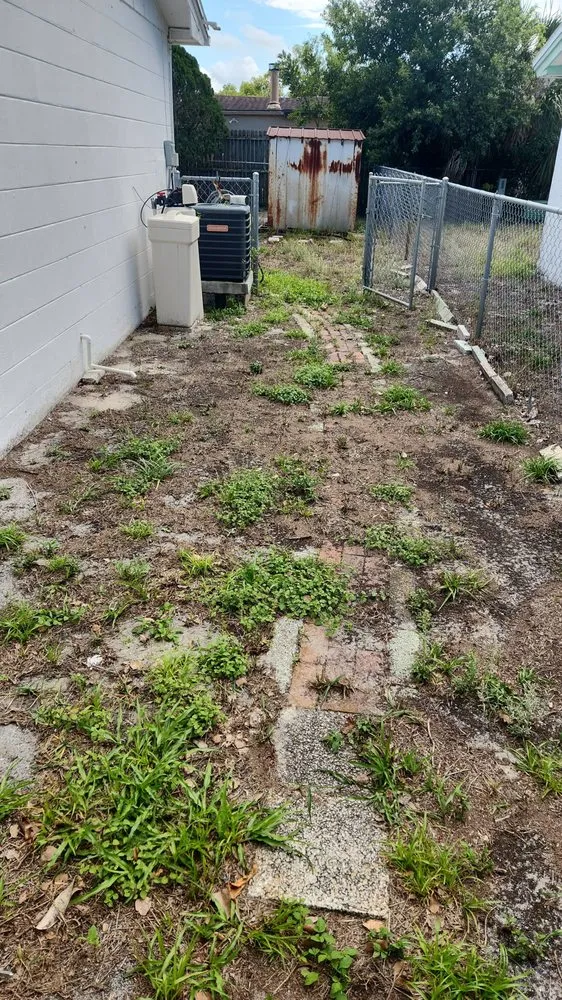 Custom outdoor landscaping for homes in Tampa Bay, FL by Green Munsters