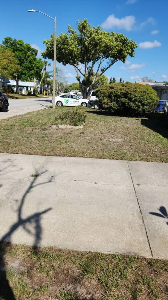 Local lawn mowing service in Tampa Bay, FL - Green Munsters