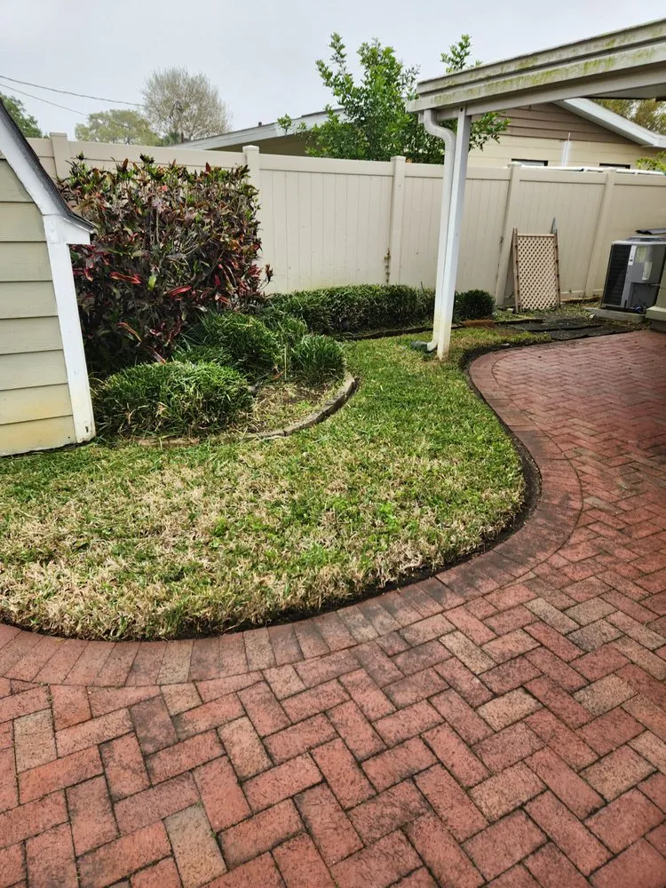 Reliable lawn mowing service experts serving Tampa Bay, FL - Green Munsters