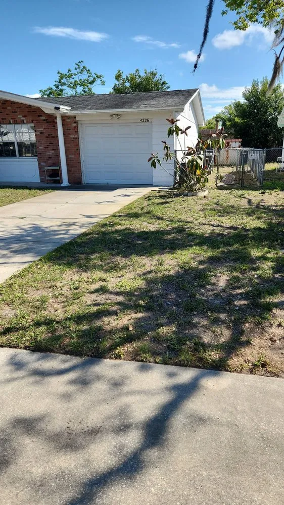 Professional outdoor landscaping in Tampa Bay, FL by Green Munsters