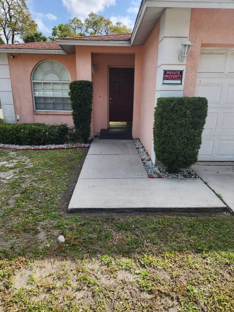 Affordable landscape design in Tampa Bay, FL - Green Munsters