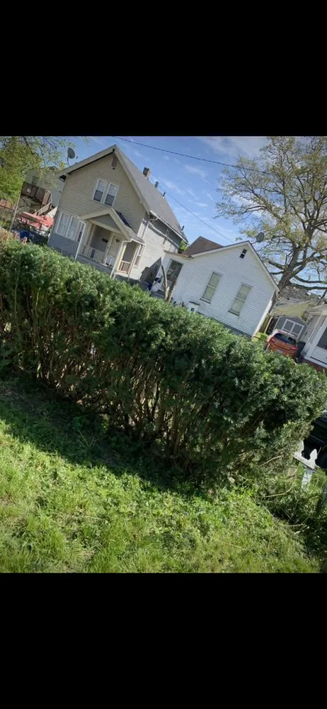 Top-rated landscape installation in Toledo, OH - Green Muscle Lawn Care